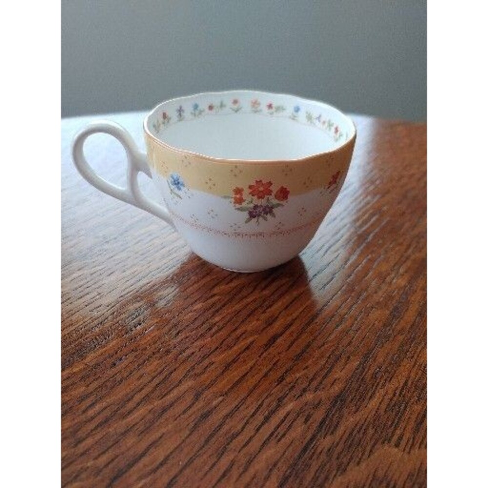 Noritake Primachina "True Love" Pattern Tea Cup Rare, Discontinued!